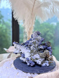 ｜European Ancient Magic Hat-Style Ore｜ Galena-Pyrite Symbiotic