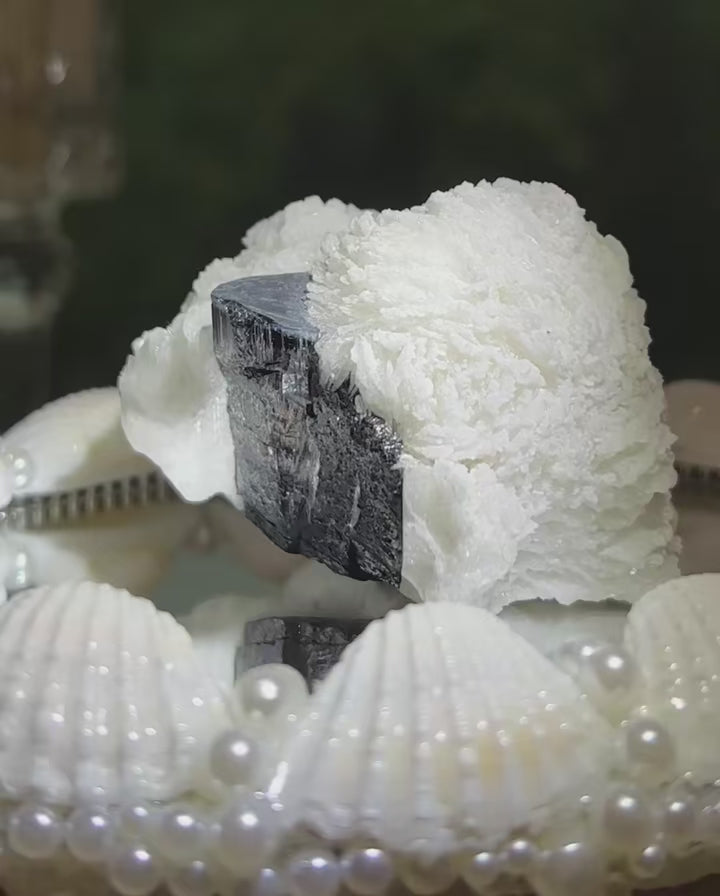 Hepburn‑Style Black‑Tourmaline‑Feldspar Symbiotic Specimen from Pakistan